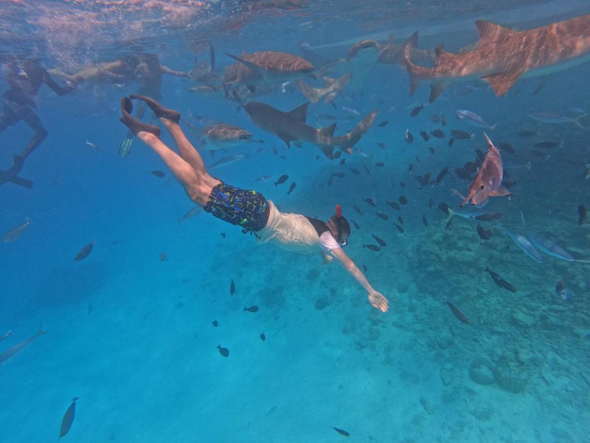 Beach Walk Villa Maldives 古莉 外观 照片